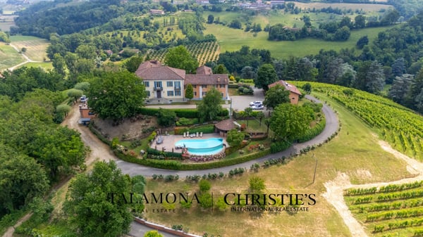 WEINANWESEN MIT PANORAMABLICK AUF DIE HÜGEL DES UNESCO-ERBES 2