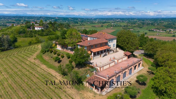 WEINANWESEN MIT PANORAMABLICK AUF DIE HÜGEL DES UNESCO-ERBES 1