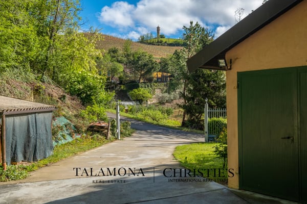 WEINGUT - CANELLI 12