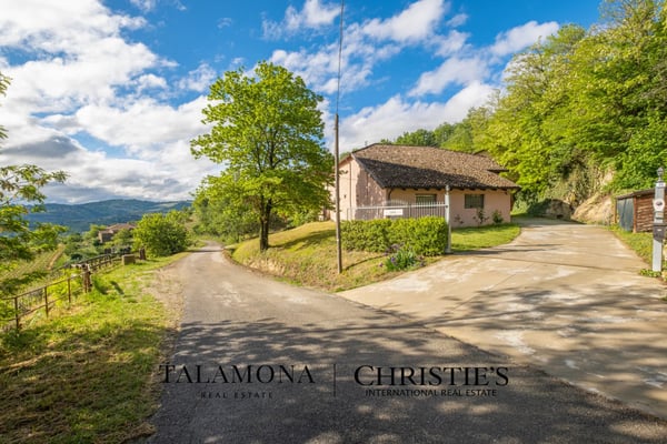 WEINGUT - CANELLI 13