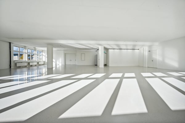 365 m2 Gewerbeflächen mit Warenlift und Nutzlast von 1'300 kg/m² 6