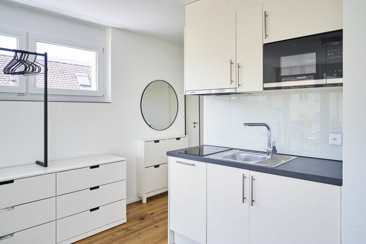 Modern apartment in Zürich Altstetten