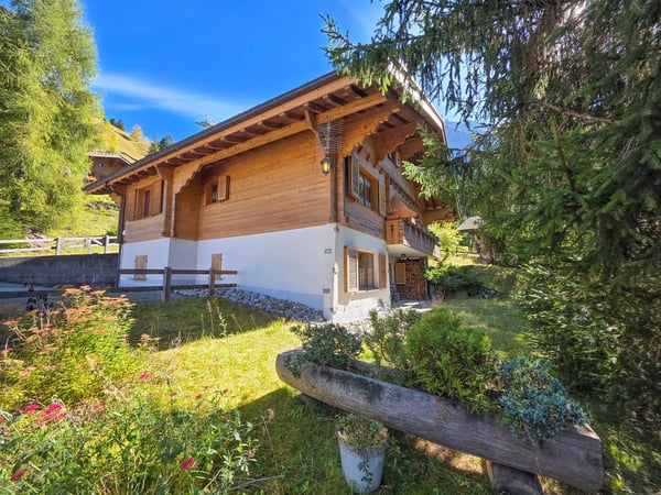 Chalet mit Einliegerwohnung 46