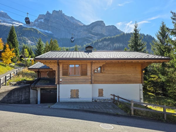 Chalet mit Einliegerwohnung 45