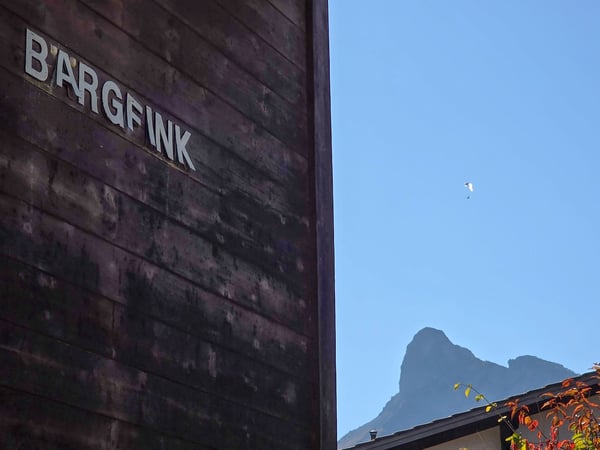 1.5-Zimmer Chalet 26