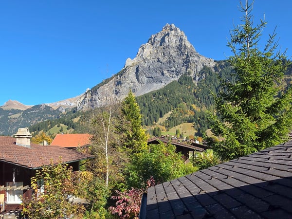 1.5-Zimmer Chalet 29