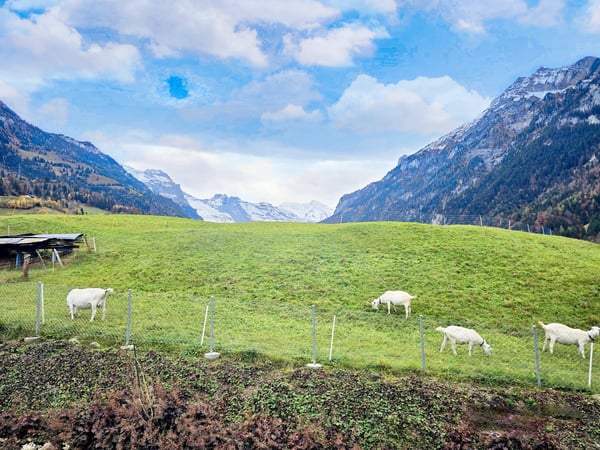 Moderne 1.5-Zimmer-Wohnung mit Balkon und schöner Aussicht in Kandergrund 16