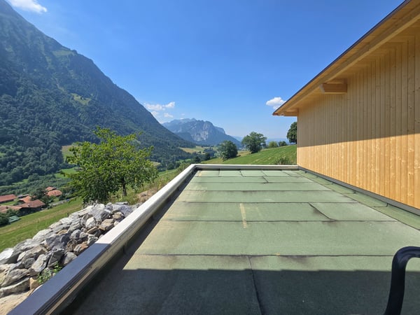 5.5 Zimmer Wohnung im Ober- und Dachgeschoss, Erstbezug 18