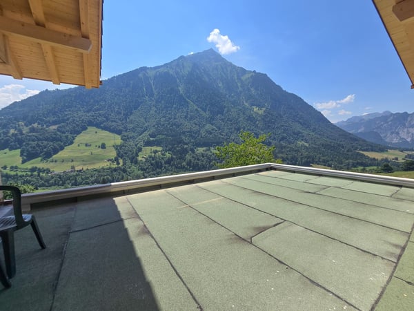 5.5 Zimmer Wohnung im Ober- und Dachgeschoss, Erstbezug 19