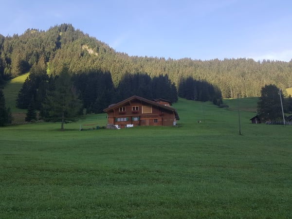 3.5-Zimmer-Wohnung