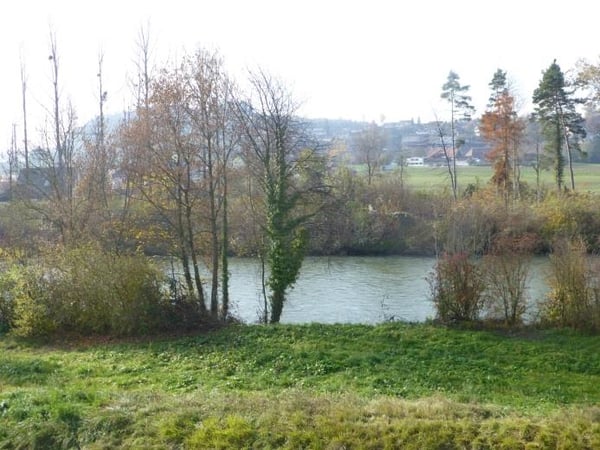 Wohnen an der Saane in der modernen 1-Zimmer-Wohnung 9