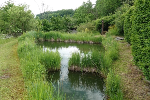Seltenes Naturgarten-Anwesen nahe Bern 13
