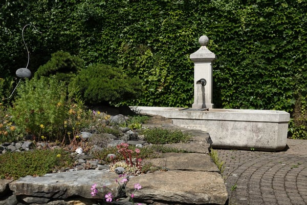 Seltenes Naturgarten-Anwesen nahe Bern 12