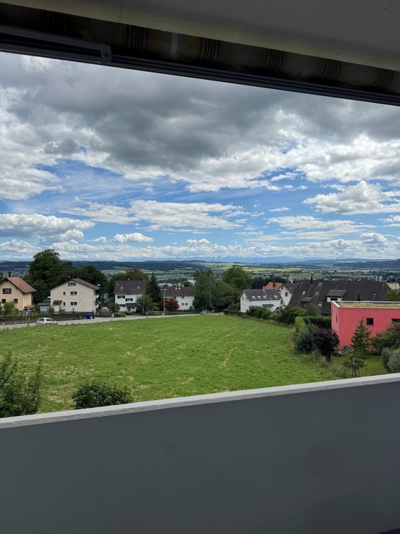Totalsanierte Wohnung mit Naturblick 8