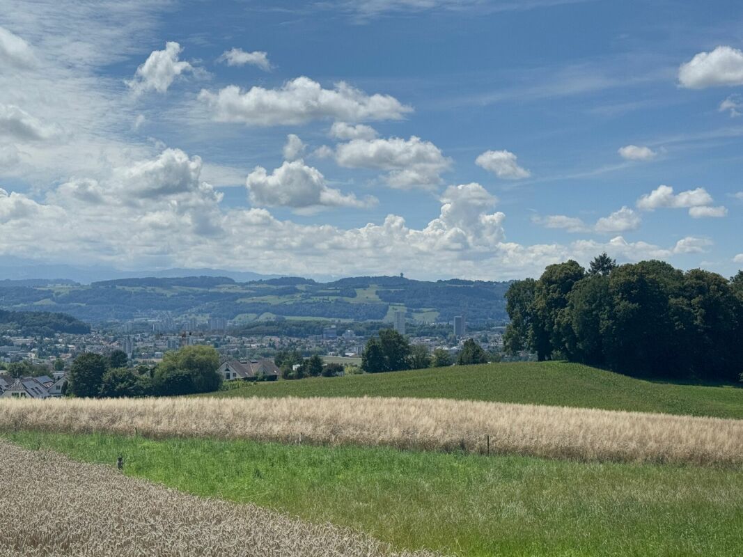 Bild Einseitig angebautes 3.5-Zimmer-Einfamilienhaus mit wunderschöner Aussicht am Südhang von Bolligen
