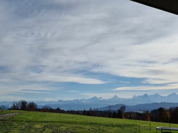 Geschichträchtiges Bauernhaus mit vier Wohnungen und schönem Umschwung 4