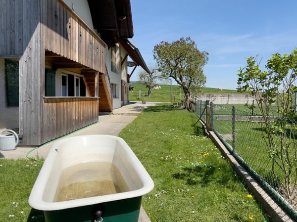 Geschichträchtiges Bauernhaus mit vier Wohnungen und schönem Umschwung 3