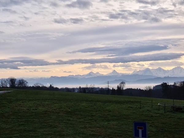 Geschichträchtiges Bauernhaus mit vier Wohnungen und schönem Umschwung 12