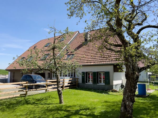 Geschichträchtiges Bauernhaus mit vier Wohnungen und schönem Umschwung 10