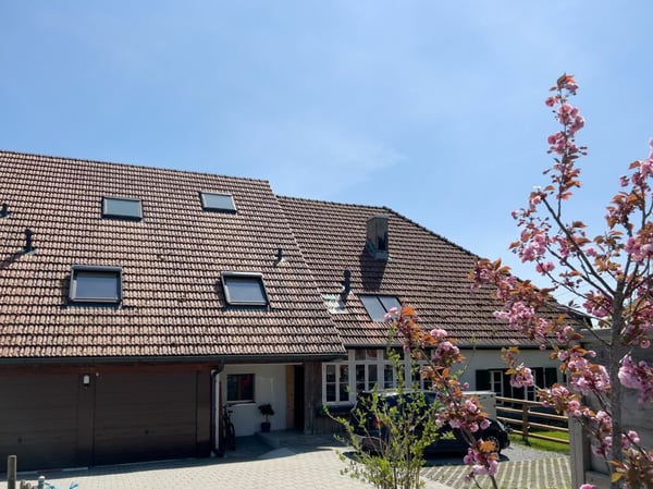 Geschichträchtiges Bauernhaus mit vier Wohnungen und schönem Umschwung 11