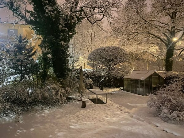 Grandiose 2.5-Zimmer-Altbauwohnung mit fürstlichen 250 m² Wohnfläche an perfekter Wohnlage 18