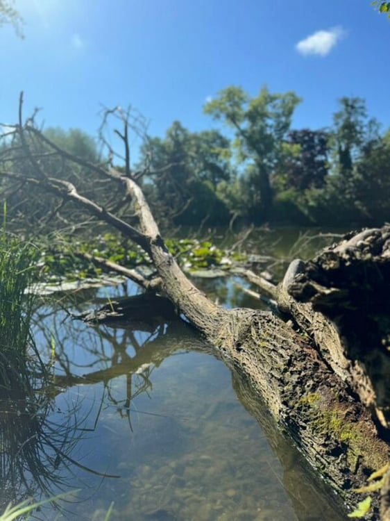 Grandiose 2.5-Zimmer-Altbauwohnung mit fürstlichen 250 m² Wohnfläche an perfekter Wohnlage 23