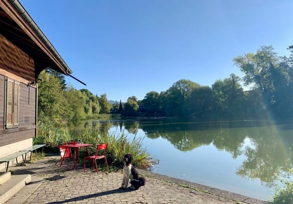 Grandiose 2.5-Zimmer-Altbauwohnung mit fürstlichen 250 m² Wohnfläche an perfekter Wohnlage 20