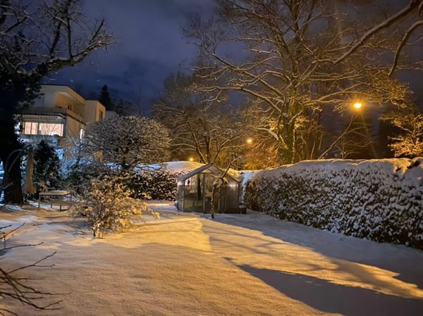 Grandiose 2.5-Zimmer-Altbauwohnung mit fürstlichen 250 m² Wohnfläche an perfekter Wohnlage 19