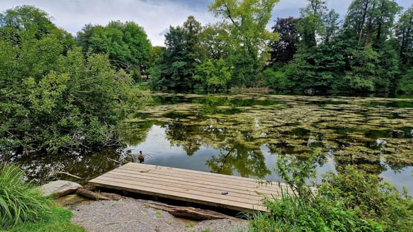 Grandiose 2.5-Zimmer-Altbauwohnung mit fürstlichen 250 m² Wohnfläche an perfekter Wohnlage 21