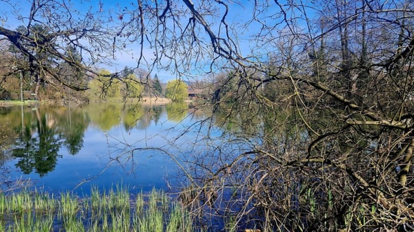 Grandiose 2.5-Zimmer-Altbauwohnung mit fürstlichen 250 m² Wohnfläche an perfekter Wohnlage 22