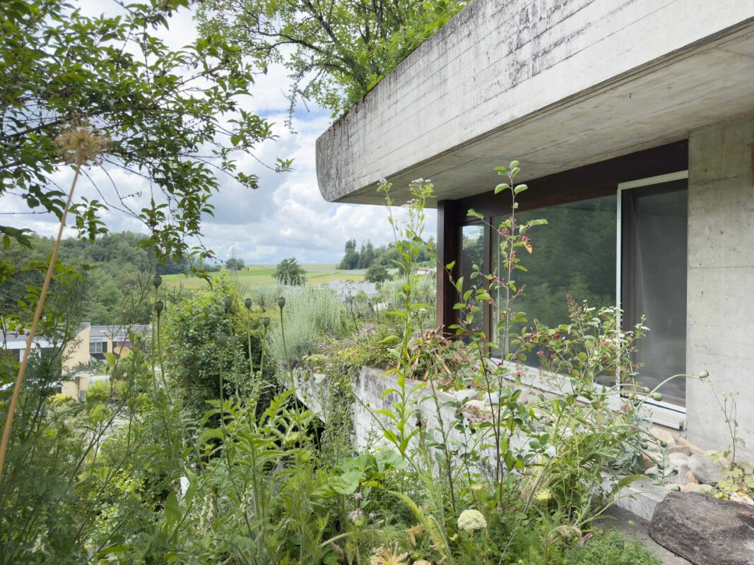 Wohnen wie im eigenen Haus. Sonnig, stadtnah und Privatsphäre inklusive