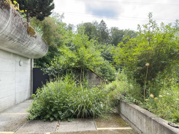 Wohnen wie im eigenen Haus. Sonnig, stadtnah und Privatsphäre inklusive 19