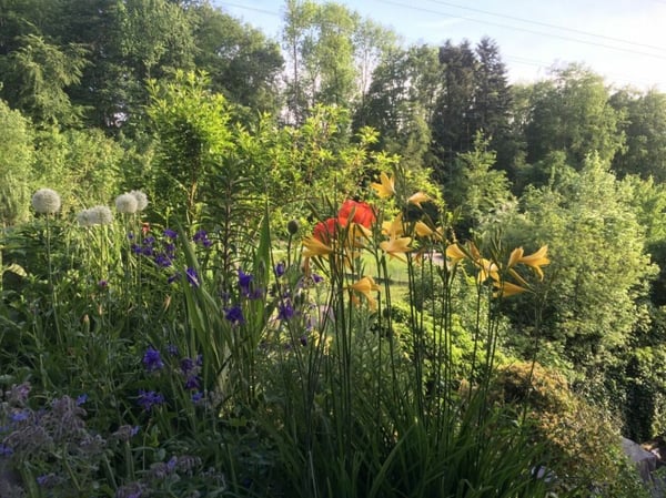 Wohnen wie im eigenen Haus. Sonnig, stadtnah und Privatsphäre inklusive 22