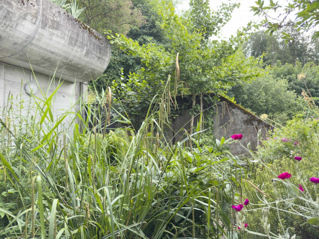 Wohnen wie im eigenen Haus. Sonnig, stadtnah und Privatsphäre inklusive