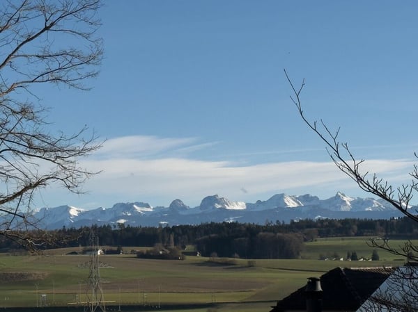 Freistehendes 7-Zimmer-Einfamilienhaus mit luxuriösem Wintergarten, schönem Umschwung und Aussenschwimmbad 6