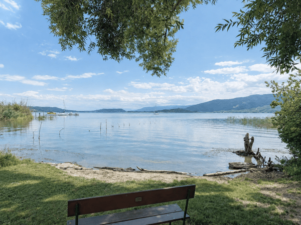 Grosse Baulandparzelle am Bielersee mit Potenzial. Erst- und Zweitwohnsitz möglich! 19