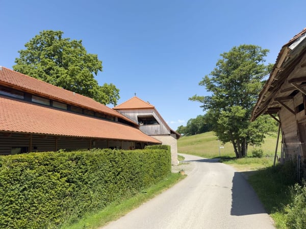 Modern ausgebaute 2.5-Zimmer-Duplexwohnung mit einzigartiger Wohnqualität, gemütlicher Loggia, Einstellhallenplatz und vielfältigen Annehmlichkeiten im Schlosspark 22