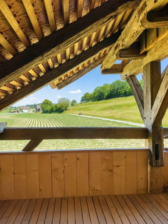 Modern ausgebaute 2.5-Zimmer-Duplexwohnung mit einzigartiger Wohnqualität, gemütlicher Loggia, Einstellhallenplatz und vielfältigen Annehmlichkeiten im Schlosspark 16