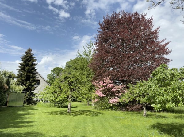 Modern ausgebaute 2.5-Zimmer-Duplexwohnung mit einzigartiger Wohnqualität, gemütlicher Loggia, Einstellhallenplatz und vielfältigen Annehmlichkeiten im Schlosspark 35