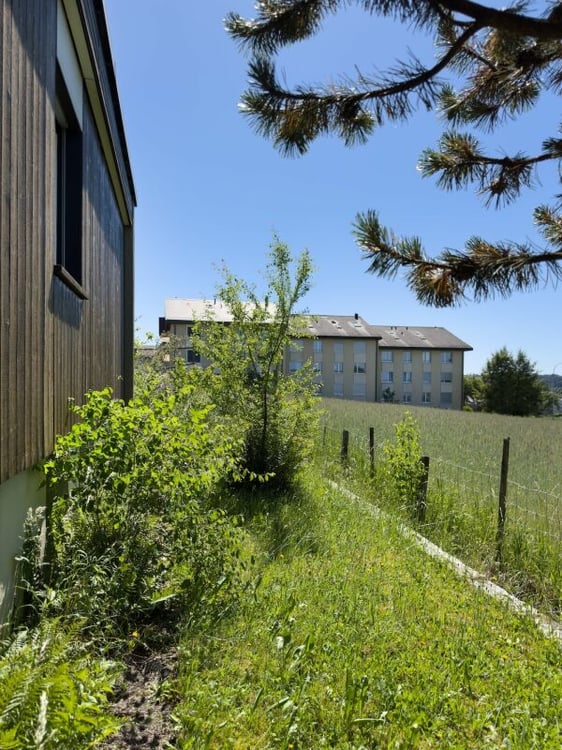 6.5-Zimmer-Einfamilienhaus im Bungalowstil mit grossem Garten und Einstellhallenplatz 19
