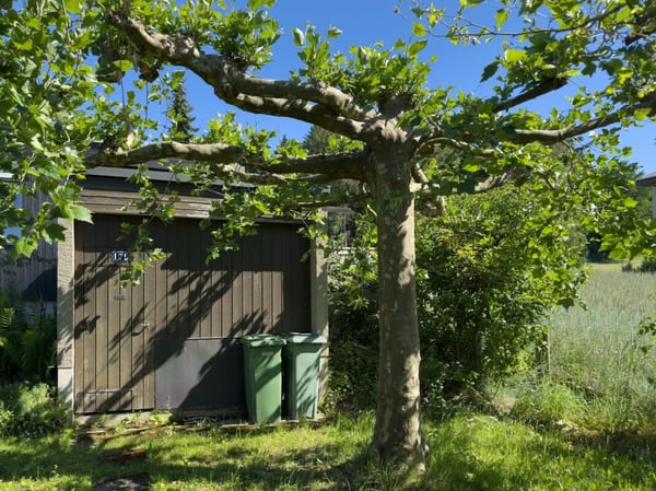 6.5-Zimmer-Einfamilienhaus im Bungalowstil mit grossem Garten und Einstellhallenplatz 20
