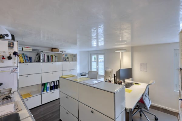 Atelier mit charmanter Liegenschaft im Herzen von Richterswil 10