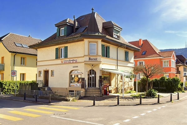 ARBEITEN, WOHNEN ODER ENTWICKELN - VIELSEITIGE LIEGENSCHAFT MIT POTENZIAL 1