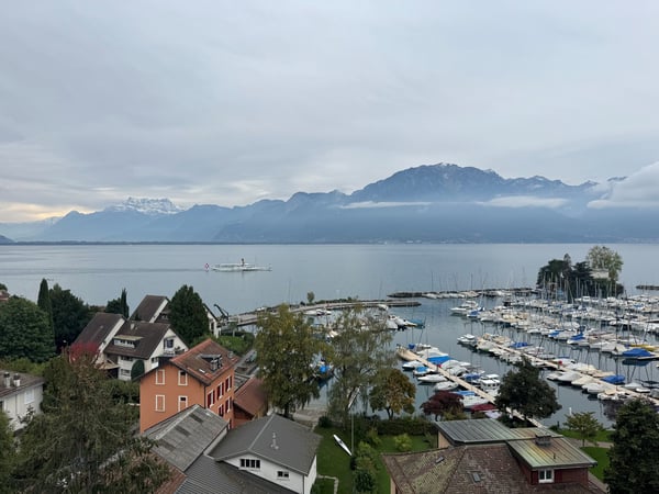 Magnifique appartement de 1.5 pièces avec vue panoramique sur le lac Léman à Clarens 7