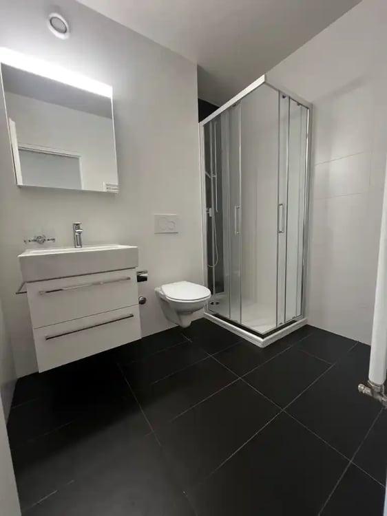 Superbe appartement  modernisé de 4,5 pièces en duplex 7