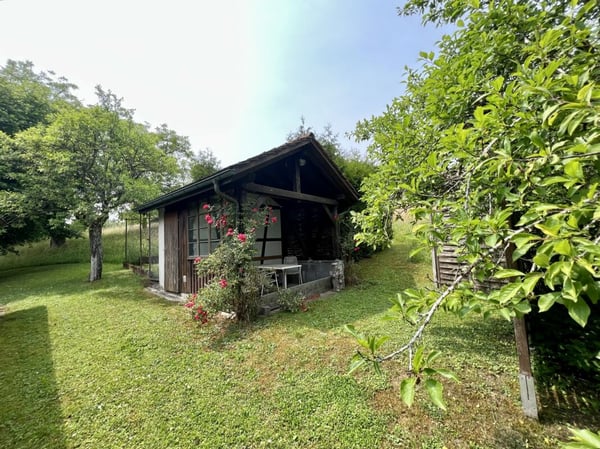 Viel Bauland und Liegenschaft mit grosser Landfläche 10