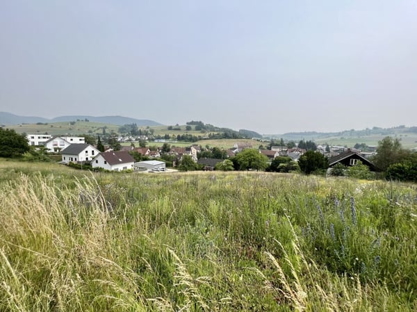 Viel Bauland und Liegenschaft mit grosser Landfläche 2