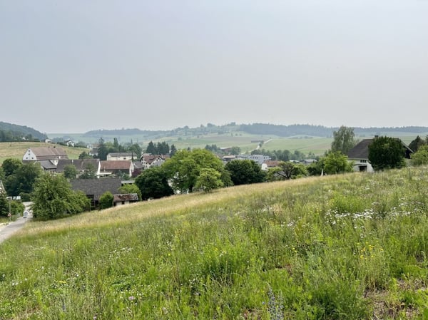 Liegenschaft mit grosser Landfläche und viel Bauland 12