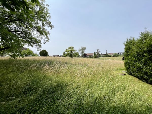 Liegenschaft mit grosser Landfläche und viel Bauland 11