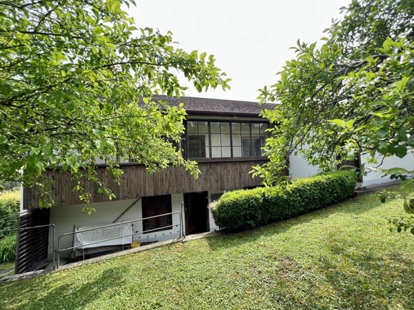 Liegenschaft mit grosser Landfläche und viel Bauland 4